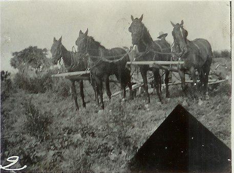 Pinkney Ferguson and team